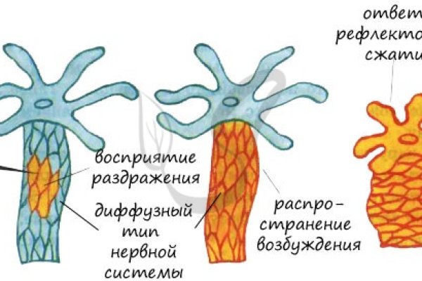 Кракен не грузит